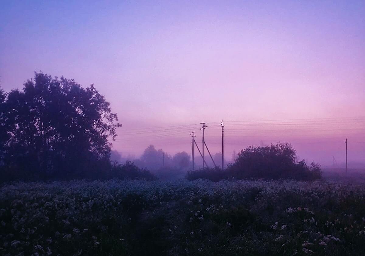 虫虫漫画里那种“像结论”的句子,往往卡在结论强度有多大——我们把推断写成假设句